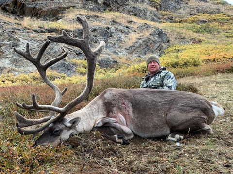 Greenland Caribou Hunt