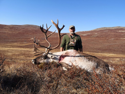 Greenland Caribou Hunt