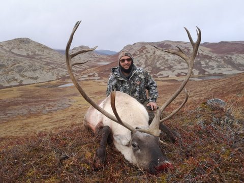 Greenland Caribou Hunt