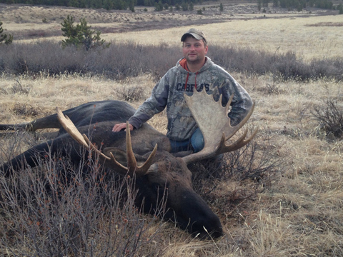 Alberta Backcountry Moose Hunt on Horseback 