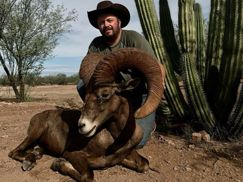 Mexico Desert Bighorn Sheep Hunt