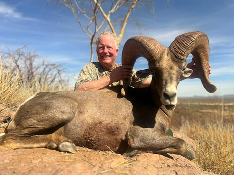 Mexico Desert Bighorn Sheep Hunt