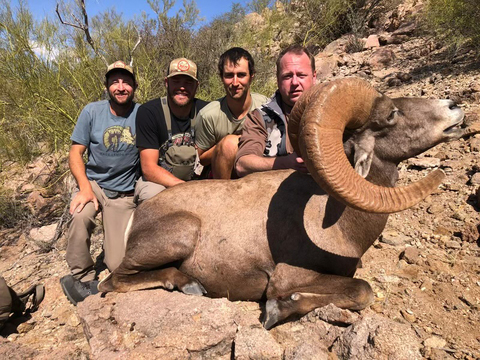 Mexico Desert Bighorn Sheep Hunt