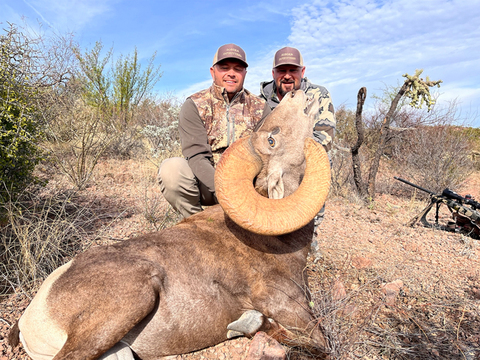 Mexico Desert Bighorn Sheep Hunt