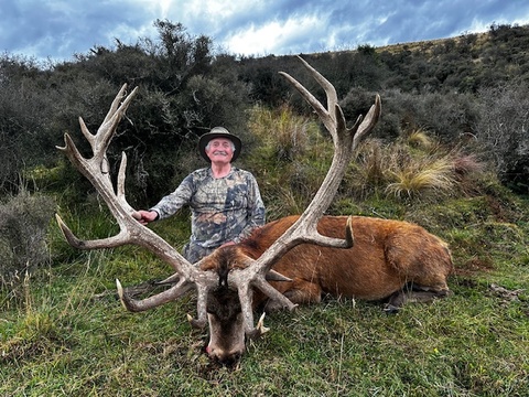 Trophy Quality Red Stag in New Zealand