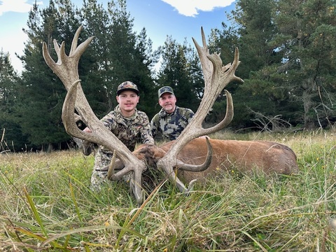 Trophy Quality Red Stag in New Zealand