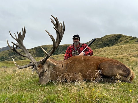 Trophy Quality Red Stag in New Zealand