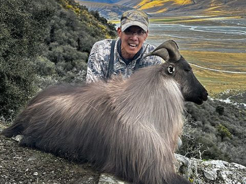 Trophy Quality Red Stag in New Zealand