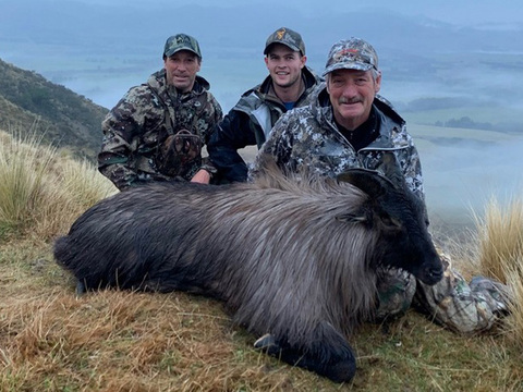 High Success New Zealand Tahr Hunt