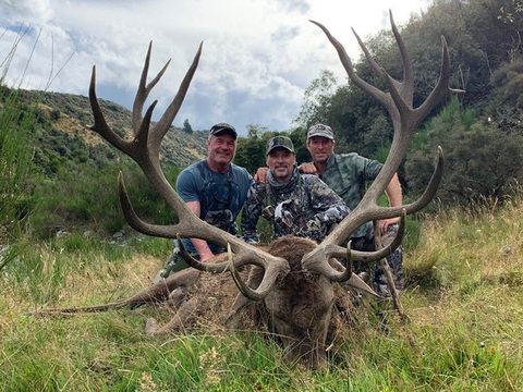 High Success New Zealand Tahr Hunt