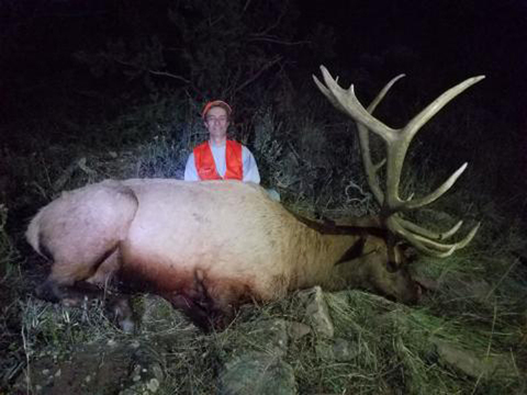 Utah Diamond Mountain Trophy Class Bull Elk