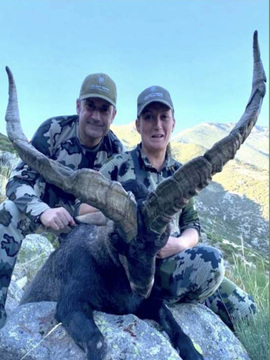 Spain Ibex