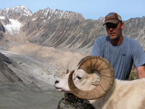 Chugach Mountains Fly-In Dall Sheep