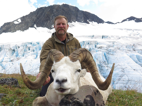 Chugach Mountains Fly-In Dall Sheep