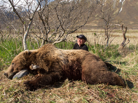 Alaksa Peninsula Brown Bear Hunt