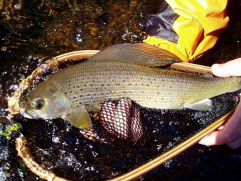 Saskatchewan Fly-In Only Fishing Lodge