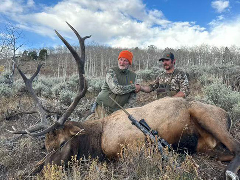 Colorado Gunnison Basin OTC Elk Hunt