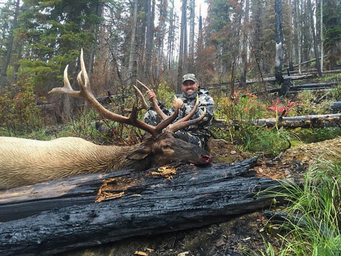 Montana Bitterroot Mountains Elk Hunt