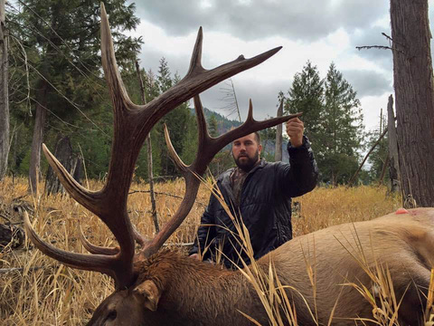 Montana Bitterroot Mountains Elk Hunt