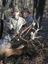 Wild Idaho Elk