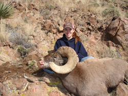 Beautiful Arizona Ram for a Young Lady